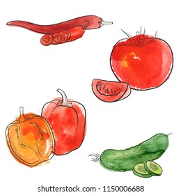 vector drawing vegetables with watercolor paint stains, red paprica, chili pepper, tomato and cucumber , hand drawn illustration