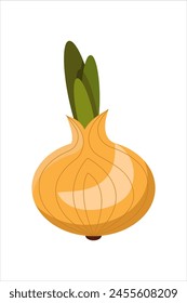 Vector drawing of a vibrant yellow onion