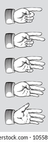 Vector drawing of / Vintage hands line art / Easy to edit colourize and isolate groups and layers