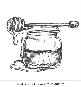 vector drawing in vintage style. honey. jar with honey, honeycombs. eco friendly product, food. graphic drawing engraving