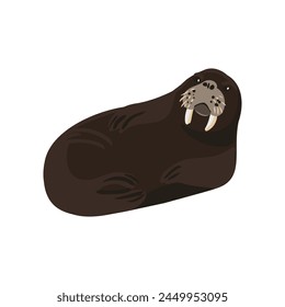 vector drawing walrus, cartoon animal isolated at white background, hand drawn illustration