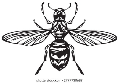 vector drawing of a wasp insect