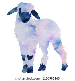 Vector drawing, watercolor Lamb