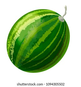 Vector drawing of a watermelon on a white background
