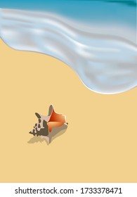 vector drawing wave sand shell