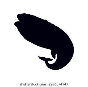 Vector drawing. Whale swims in the sea