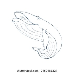 Vector drawing. Whale swims in the sea