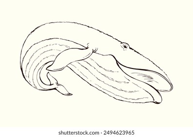 Vector drawing. Whale swims in the sea