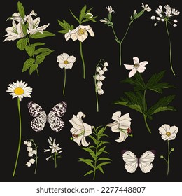 vector drawing white butterflies   flowers  lily the valley  lilies  chamomile   windflowers  floral background  hand drawn natural illustration