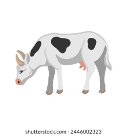 vector drawing white cow, farm animal isolated at white background, hand drawn illustration