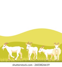 vector drawing white goats, farm animals and green grasss, rural landscape, hand drawn illustration