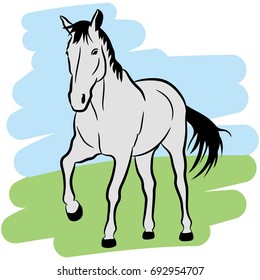 Vector drawing of a white horse running along the grass. The outline of the horse is drawn in black lines.