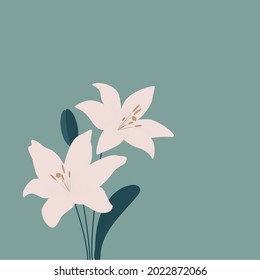 Vector drawing of white lilly for graphic design, wallpaper or illustration. 