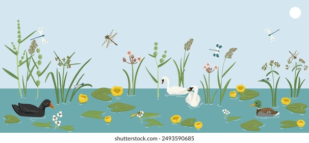 Vector dibujando cisnes blancos, pollo de pantano y ánades reales nadando en agua, plantas fluviales, libélulas y flores, composición natural de la fauna, ilustración dibujada a mano