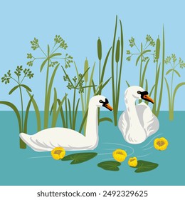 vector drawing white swans swimming in water, river plants and flower, natural wildlife composition, hand drawn illustration