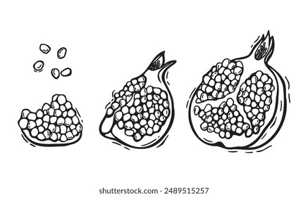 Vector drawing of a whole pomegranate, half a pomegranate with seeds. Botanical black and white illustration, hand drawn in linocut style. Drawing for packaging design, menus, recipes, postcards