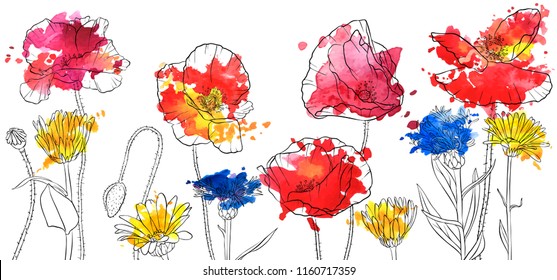 vector drawing wild flowers, poppies, daisies and cornflowers and watercolor paint stains, floral composition, hand drawn illustration