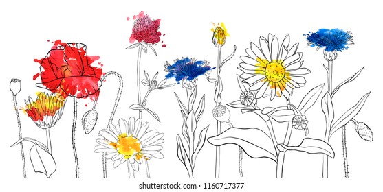 vector drawing wild flowers, red poppies, daisies and cornflowers and watercolor paint stains, floral composition, hand drawn illustration