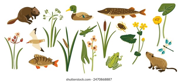 vector drawing wild water plants, fishes and animals at white background, set of natural elements, hand drawn illustration