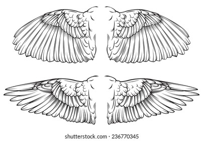 Vector drawing of /Wings Line art / Easy to edit groups, Line art outline file, black and white easy to isolate and edit. 