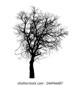 Vector drawing of the winter tree