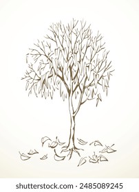 Vector drawing. Withered tree with fallen leaves