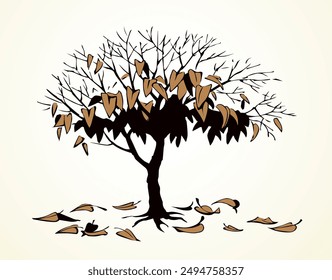 Vector drawing. Withered tree with fallen leaves