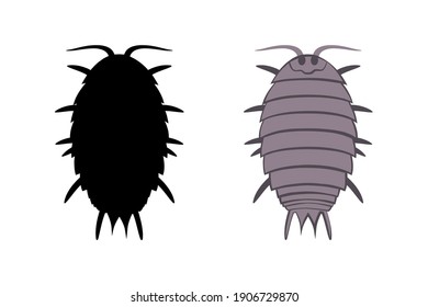 Vector drawing wood lice isolated on a white background.