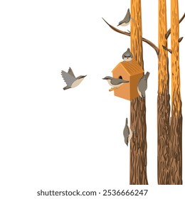 Vector que dibuja pajarera de madera en el árbol de pino y los pájaros voladores, caja de anidación y madera nuthatch en el fondo blanco, composición de la primavera, Ilustración vectorial dibujada a mano