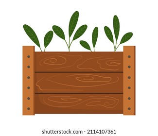 Vector drawing of a wooden box with seedlings. Healthy herb in a wooden box. Vector illustration in flat style isolated on white background. Gardening, plants