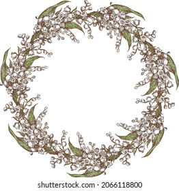 Vector drawing of wreath from delicate flowers lilies of valley