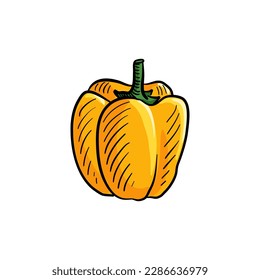 pintura vectorial de pimiento amarillo de campana , vegetales aislados en fondo blanco, ilustración dibujada a mano