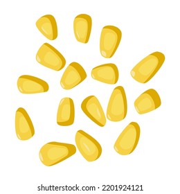 Vector drawing of yellow corn kernels. Design element and food and agriculture theme.