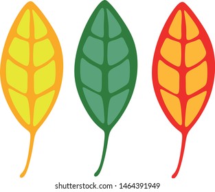 Vector drawing. Yellow, green and red leaf