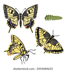 Vektorgrafik zeichnet gelbe Schwalbenschwanz Schmetterlinge und grüne Raupe, Papilio machaon, Insekten isoliert auf weißem Hintergrund, natürliche Elemente, handgezeichnete Illustration