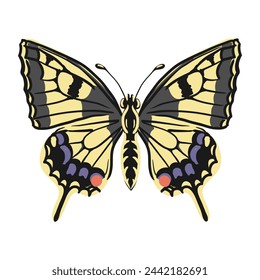 Vektor-Zeichnung Gelber Schwalbenschwanz Schmetterling , Papilio Machaon, Insekt isoliert auf weißem Hintergrund, natürliches Element, handgezeichnete Illustration