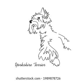 Vector drawing of a Yorkshire terrier. Linear image of a small dog.