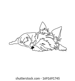 Vector drawing of a Yorkshire Terrier puppy. Sketch of the pose of a sleeping little dog