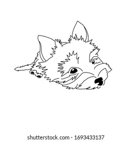 Dibujo vectorial de un cachorro Yorkshire Terrier. Un boceto de un perro mentido