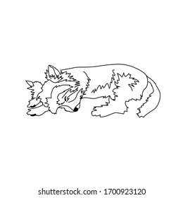 Vector drawing of a Yorkshire Terrier puppy. Sketch of the pose of a sleeping little dog