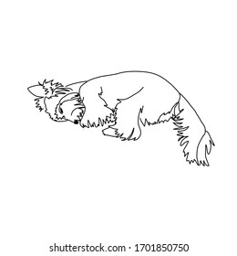 Vector drawing of a Yorkshire Terrier puppy. Sketch of the pose of a sleeping little dog