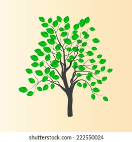 Vector drawing of a young tree with green leaves