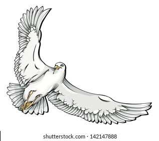 Vector drawing/Flying seagull/Vector drawing, easy to edit layers, easy to edit grouped object, no gradients used