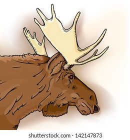 Vector drawing/Moose/Vector drawing, easy to edit layers, easy to edit grouped objects, meshes only used in background, no gradients or meshes used on Goat