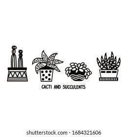 Vector drawings of cacti. Various linear cacti and succulents in flower pots and cups. Black-white vector illustration.