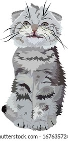 Vector drawings depict a ferocious and evil cat with raised eyebrows and a hanging mustache 