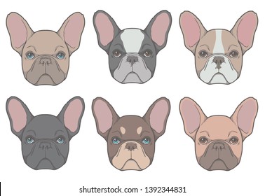 Vector drawings of French Bulldog dog heads with different fur colors and patterns like fawn, black pied, red and tan