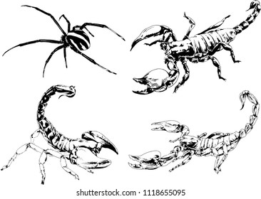 vector drawings insects-spiders, Scorpions, beetles, ink-drawn sketch
