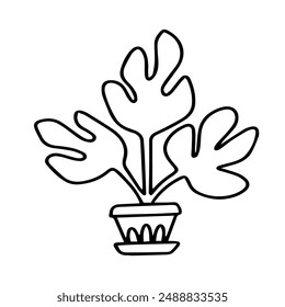 Vector drawings of a plant with wide leaves in a pot. Isolated outline illustration of a flower on a white background