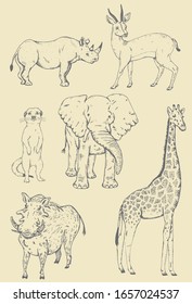 Vector drawings of safari animals